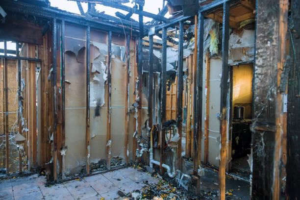 Professional Fire Damage Removal technician working in Basin, WY